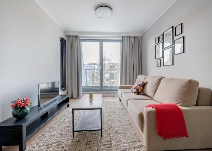 Dr - Mavik * ソポト